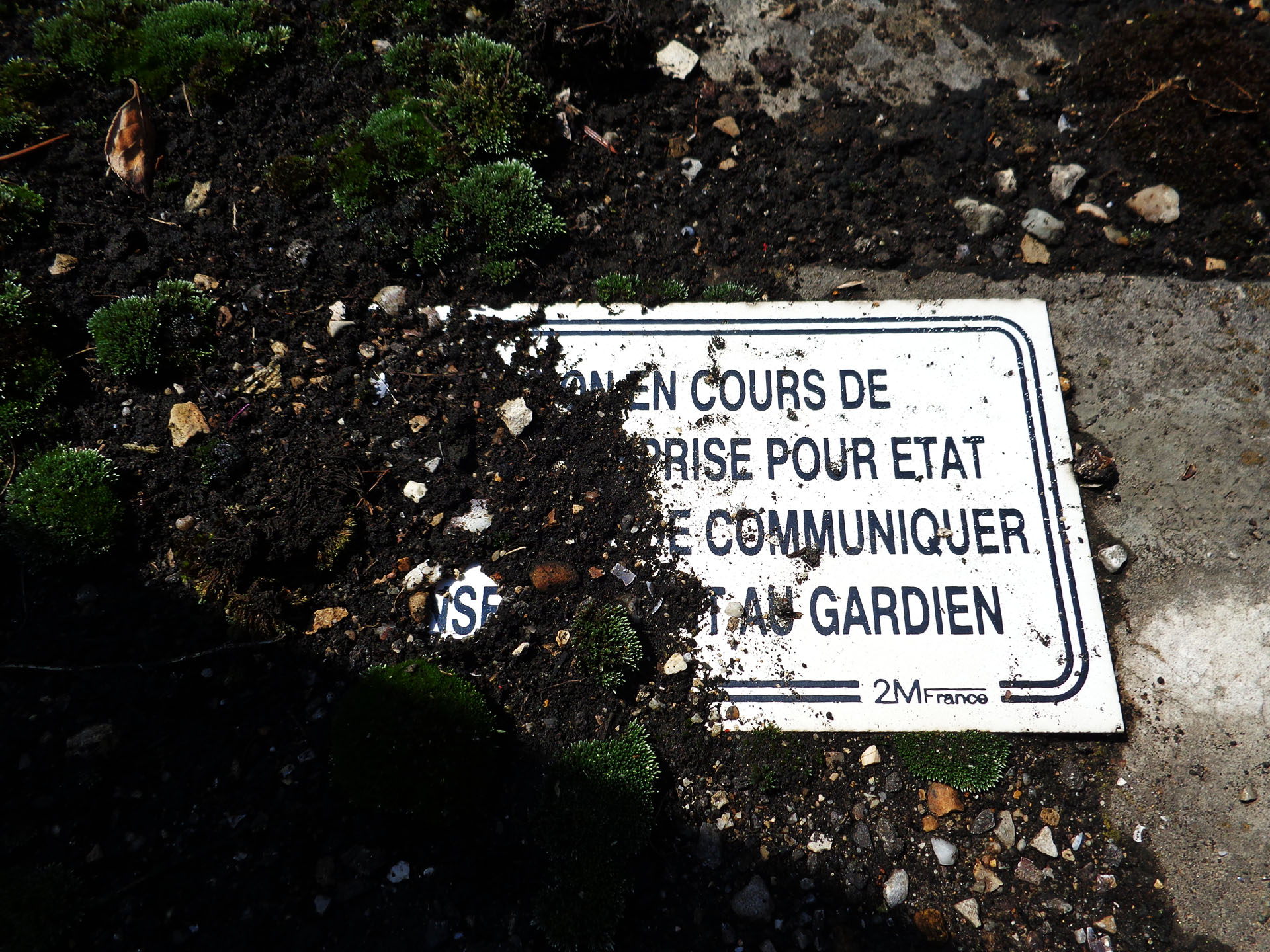 Tombes du cimetière de Caluire et Cuire France Graves in Caluire et Cuire cemetery France