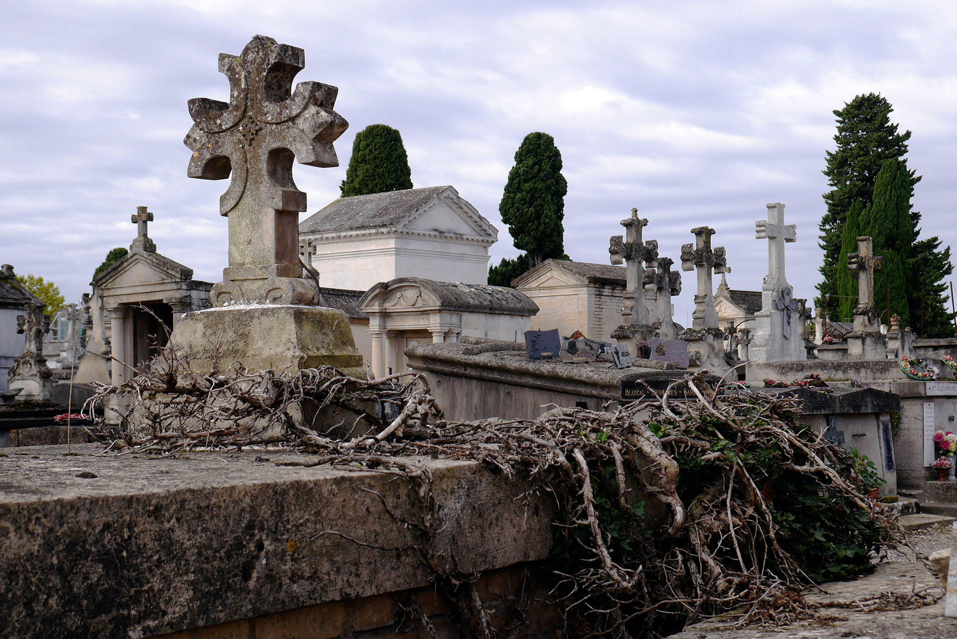 Tombes du cimetière de Montauban France Graves in Montauban cemetery France