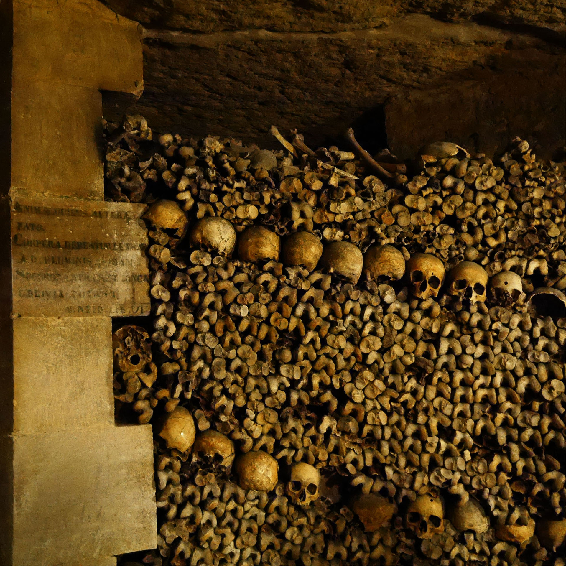 Os et crânes dans les catacombes de Paris France Skull and bones in Paris Catacombs France